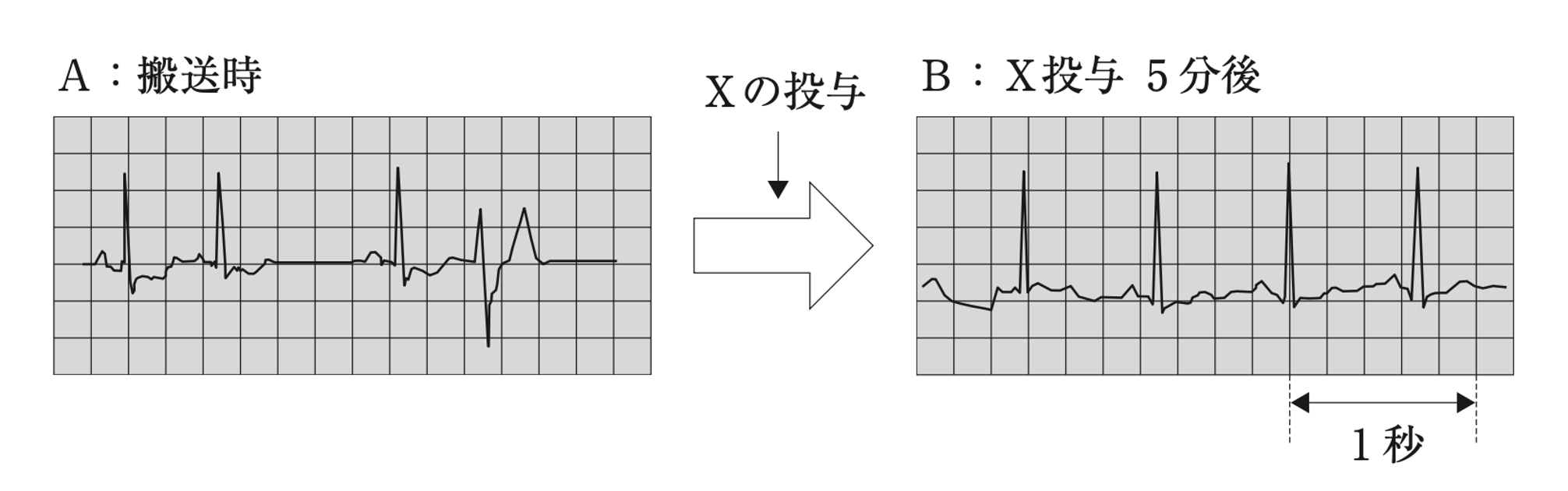 解説画像